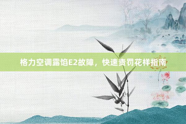 格力空调露馅E2故障，快速责罚花样指南